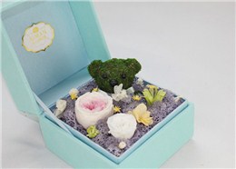 丞夫纸贴纸板解决方案