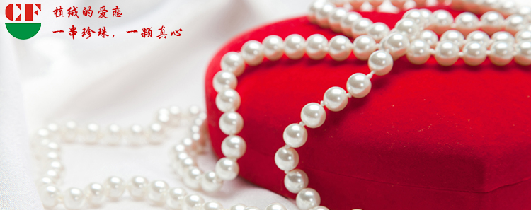 珠宝 盒子 珠宝盒 珍珠项链 jewelry box 首饰 高清图片 图片素材4